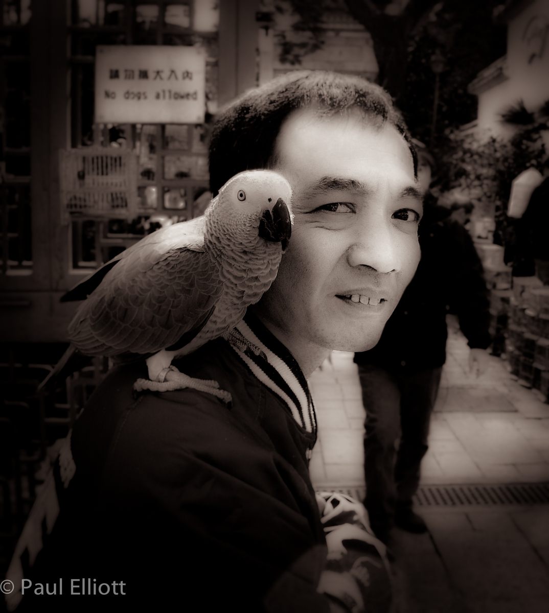 Hong Kong Birdman