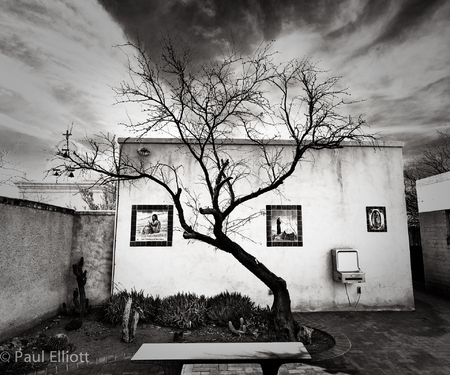 Tuscson
Tree with drinking fountain