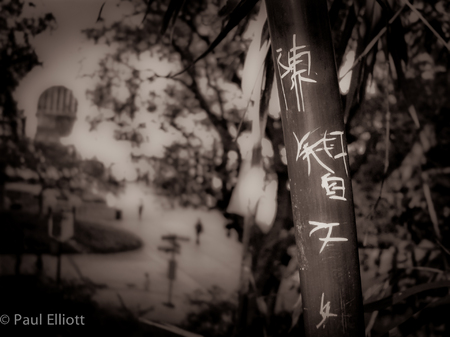Bamboo Graffitti