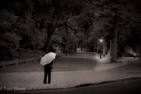 Central Park Umbrella