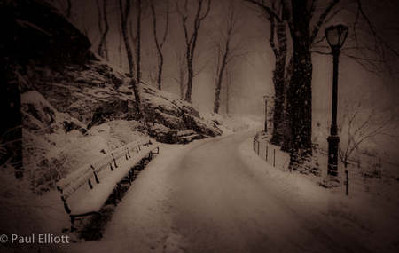 Central Park Snow #2