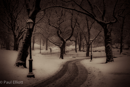 Central Park Snow #3