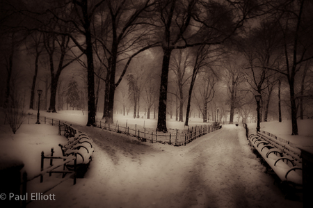 Central Park Snow #4