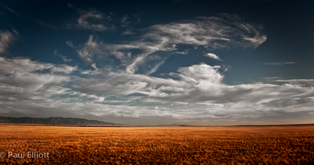 Field and Sky